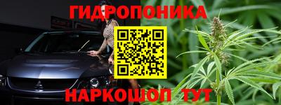 крисы Бердск
