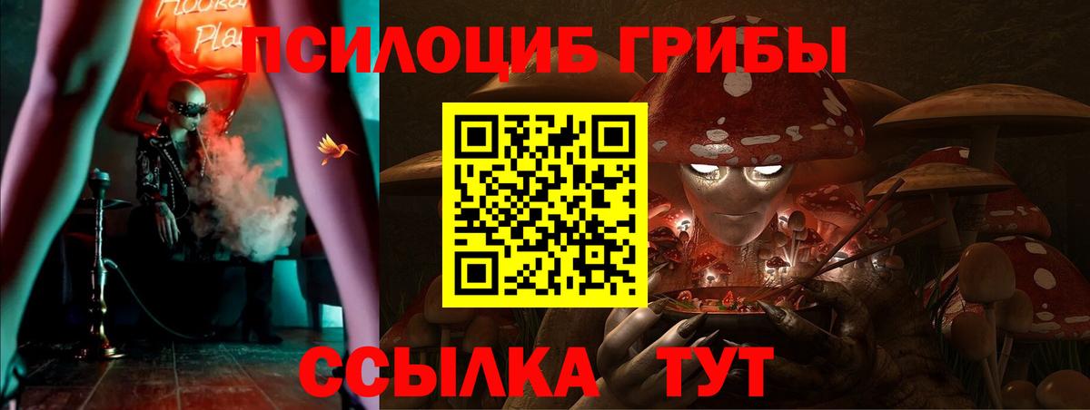 как найти закладки  Вход с VPN  Горячий Ключ  Псилоцибиновые грибы GOLDEN TEACHER 